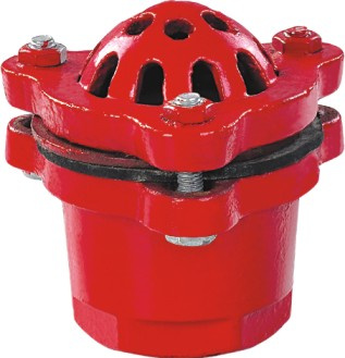 Foot Valve