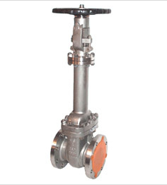 Parallel Slide Gate Valve