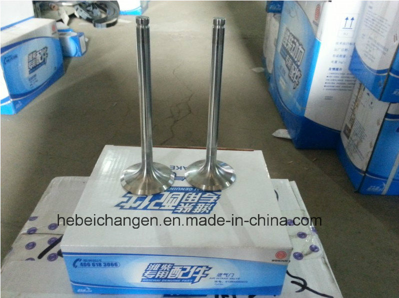Auto Engine Parts Air Intake Valve