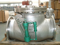 Cast Check Valve