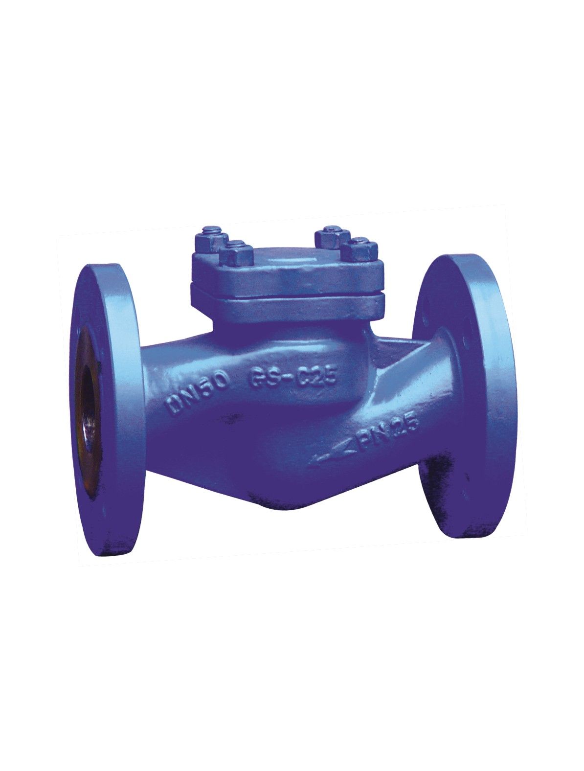 DIN Standard Cast Iron Check Valve