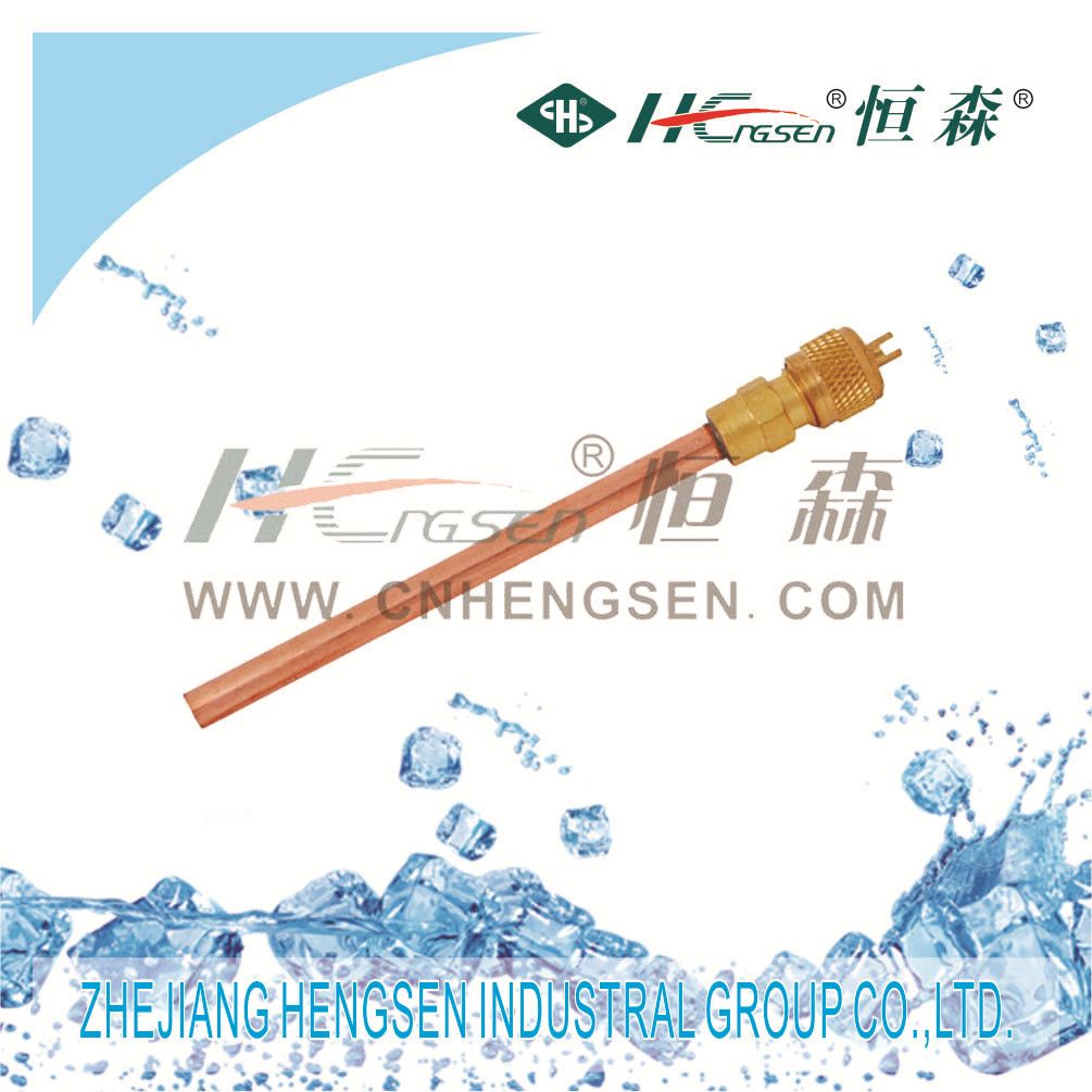 Charging Valve/Filling Valve/Check Valve Refrigeration Parts Refrigeration Tools Air Conditioner Parts