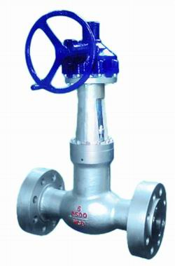 Pressure Sealed Globe Valve