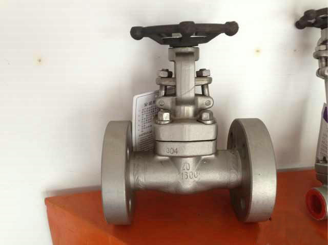 API Class1500 Dn20 Forged Gate Valve (Z41Y-1500LB-DN20)