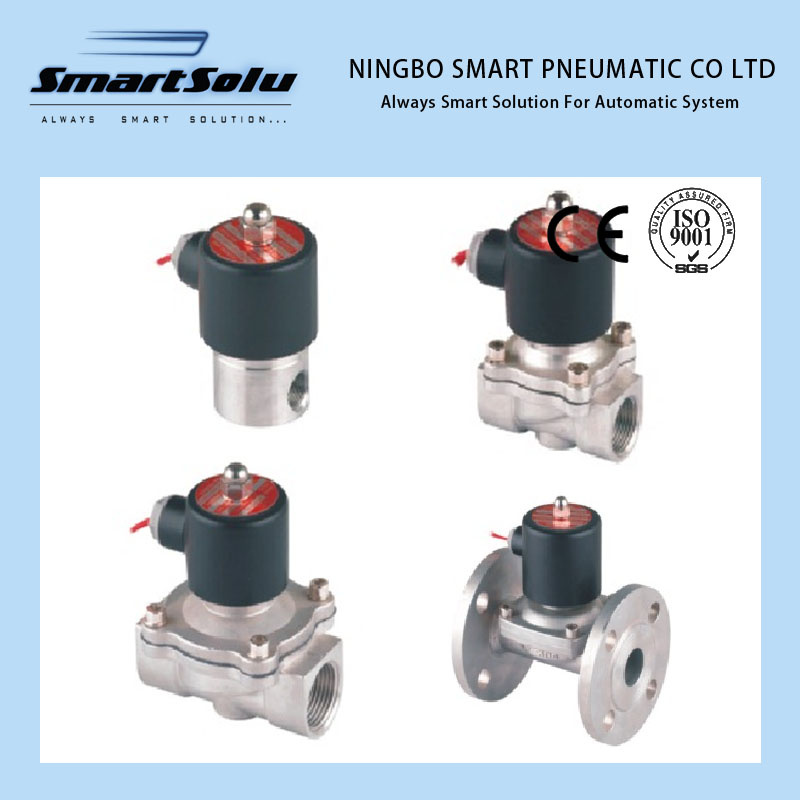 2s Series Stainless Steel Solenoid Valve