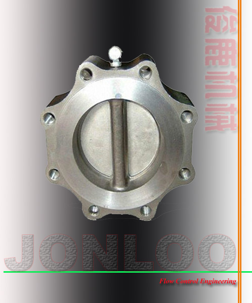 Dual Plate Check Valve
