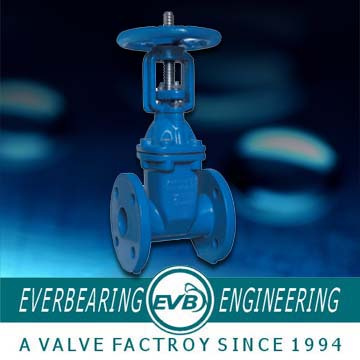Gate Valve (GTV-059-B)