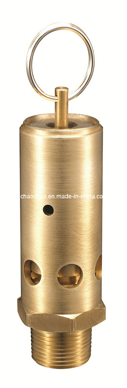 Large Capacity Screw Compressor Safety Valve