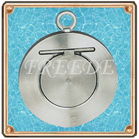 Single Disc Check Valve