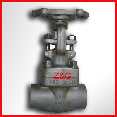 Socket Welding Forged Steel Gate Valve