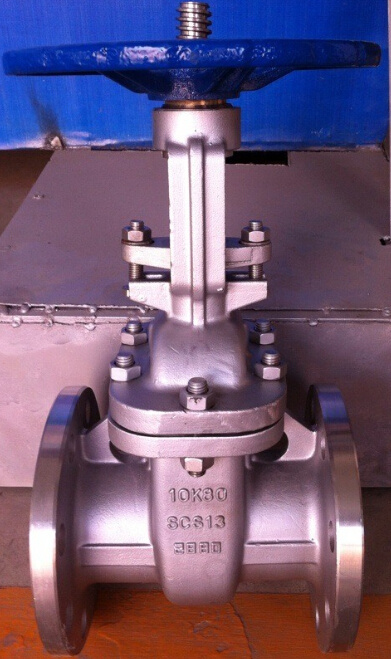 Stainless Steel 10k Gate Valve