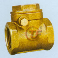 Check Valve (1169)