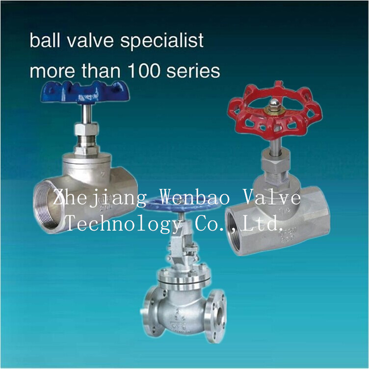 Stainless Steel Flanged Globe Valve Stop Valve