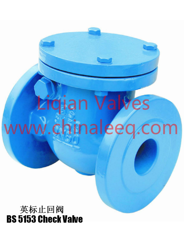 BS 5153 Swing Check Valve