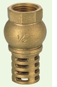 Brass Foot Valve