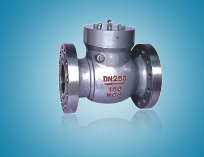 Cast Steel Control API Swing Check Valve