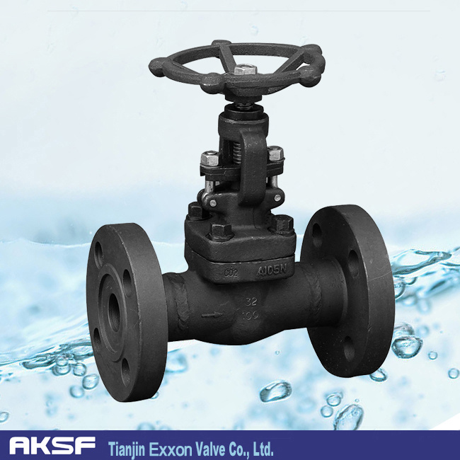 Forging Globe Valve