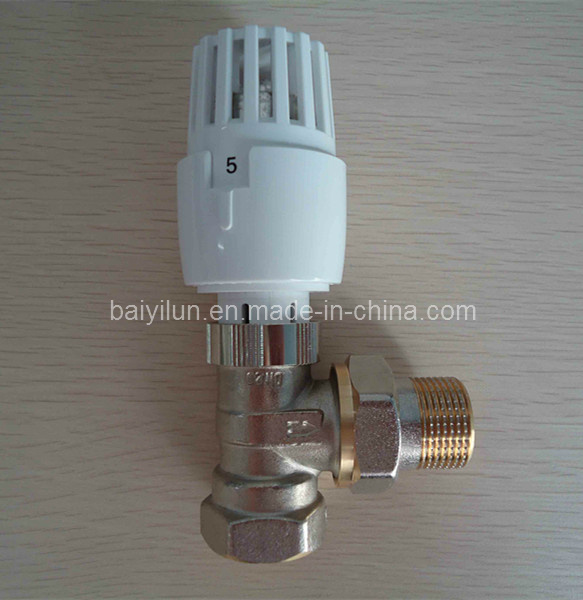 Dn20 Thermostatic Radiator Valve (BYL-6601)