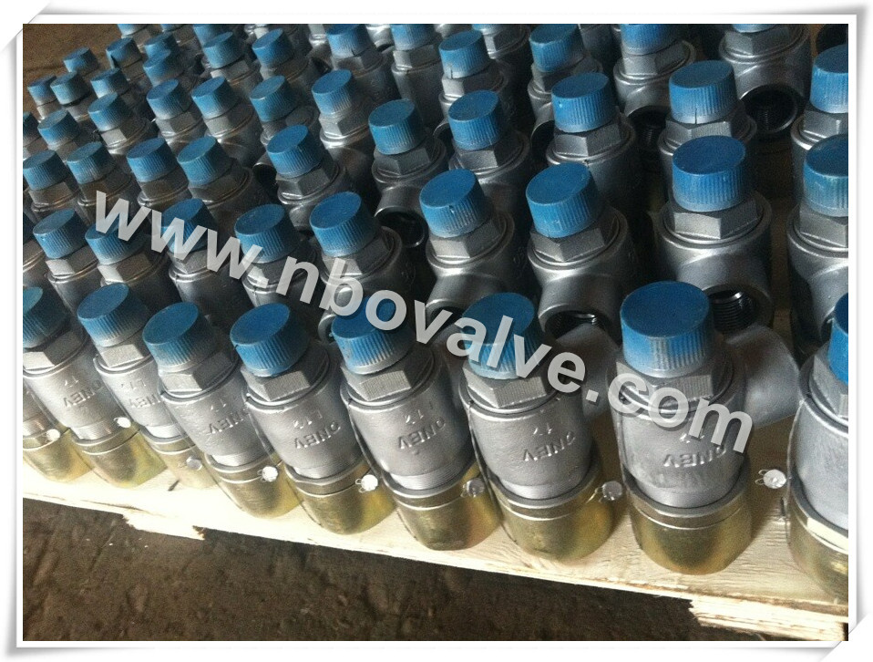 Bs Screwed Water Pressure Safety Valve (PSV-1)