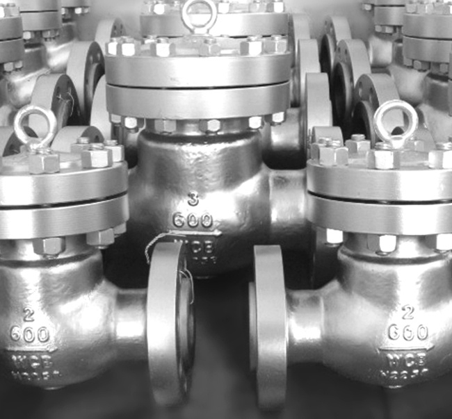 Bolt Cover Flange Ends RF Wcb/CF8 Swing Check Valves
