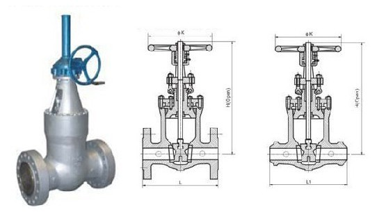 Pressure Seal Gate Valve