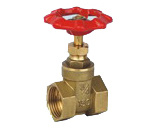 Gate Valve (BC1002)