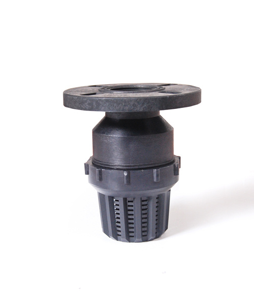 Foot Valve