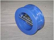 Dual Flap Check Valve