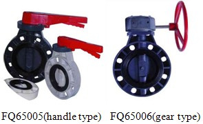 PVC Butterfly Valve (FQ65005)