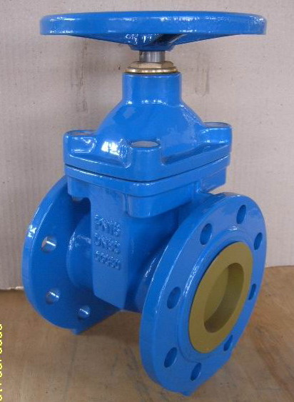 Gate Valve