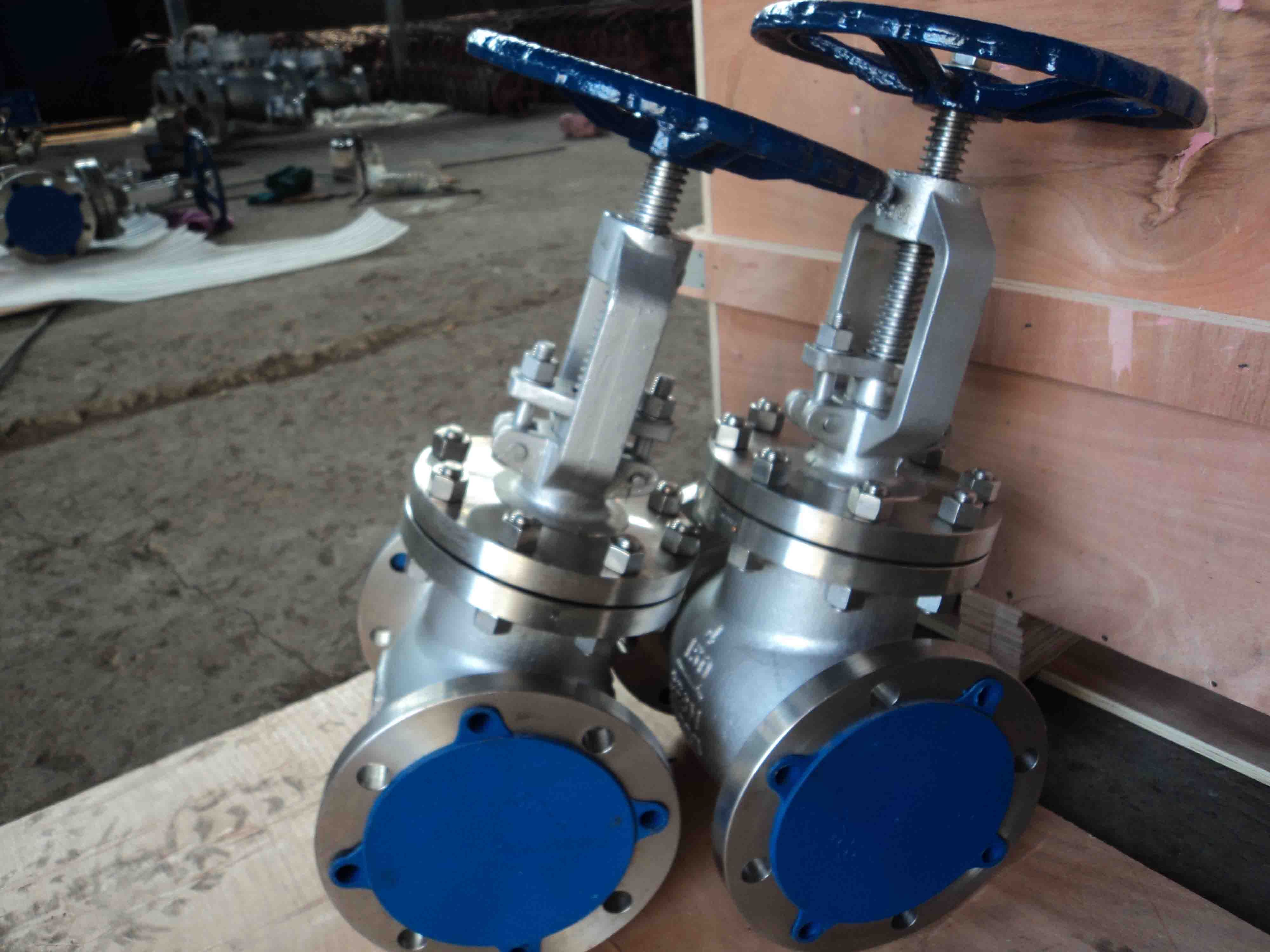 Stainless Steel Globe Valve