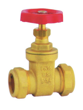 J1006 of Gate Valves