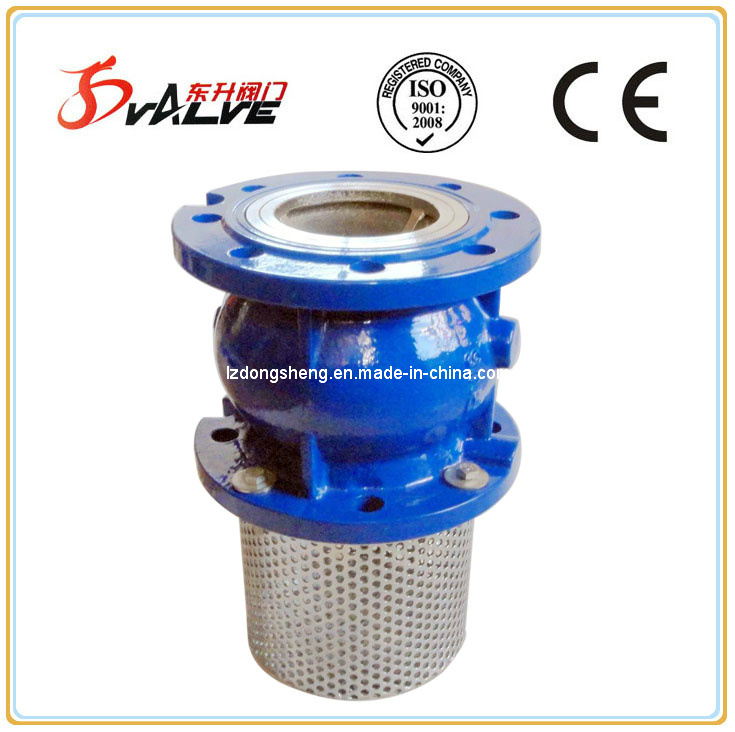 Cast Iron Foot Check Valves