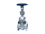 Gate Valve (027)