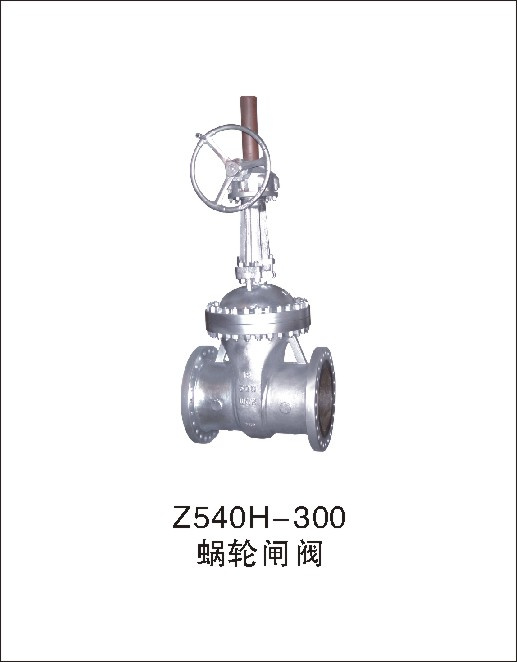 Carbon Steel RF End Gate Valve