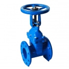 Rising Gate Valve