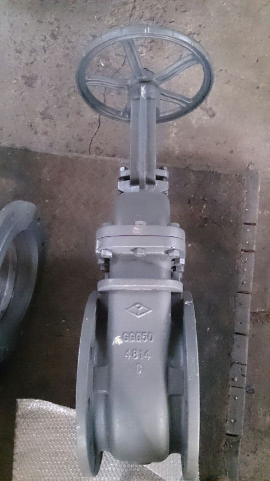 DIN Hard Seal Rising Stem Gate Valve