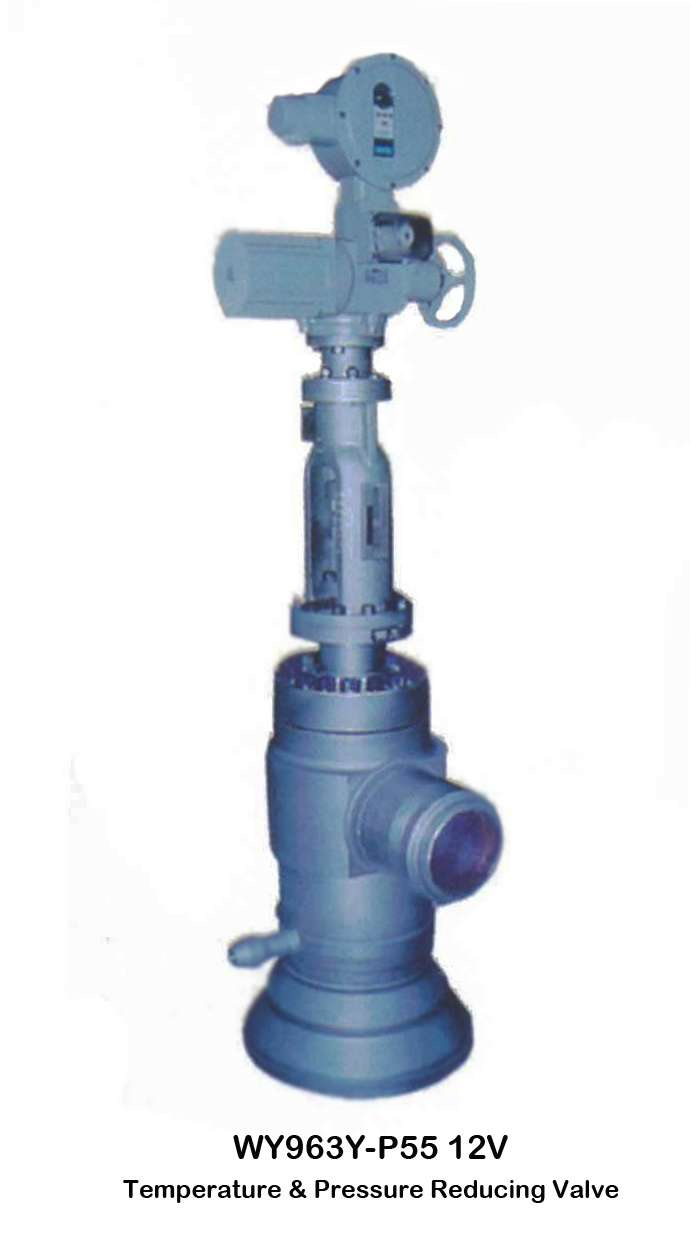 Wy963y-P55 12V Temperature & Pressure Reducing Valve