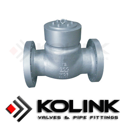 Pressure Seal Check Valve