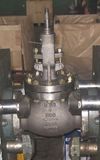 Globe Valve