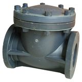 Swing Check Valve (Industry Plastic valves)