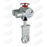 Electric Motorized High Vacuum Gate Valve