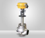 Vc4000 Cryogenic Globe Control Valve