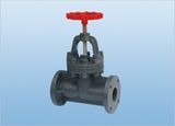 CPVC Globe Valve (D41F-6C)