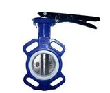 API JIS Cast Iron Wafer and Lug Type Butterfly Valve