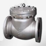 Check Valve (1)