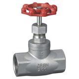 Stainless Steel Globe Valve (J-07)