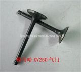 YAMAHA Xv250 Engine Valve Engine Parts