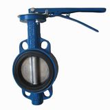 Wafer Butterfly Valve with Lever Manufacturer