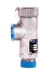 Cryogenic Safety Valve for LNG